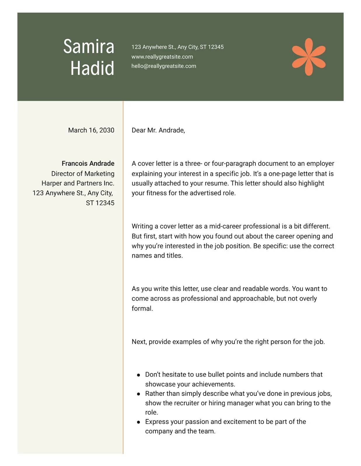 Professional CV & Cover Letter